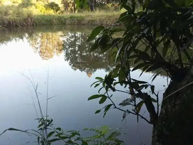 Sítio / Chácara para Venda em Marialva/PR Zona Rural