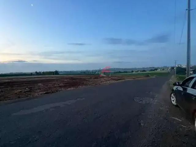 Sítio / Chácara para Venda em Marialva/PR Zona Rural