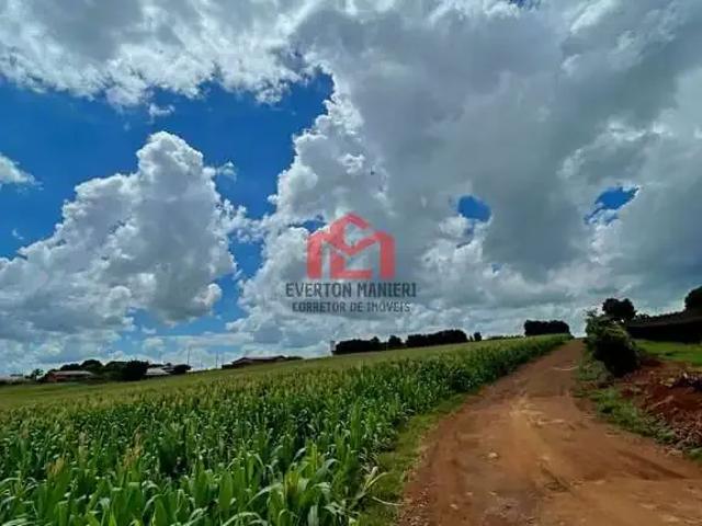 Sítio / Chácara para Venda em Marialva/PR Zona Rural