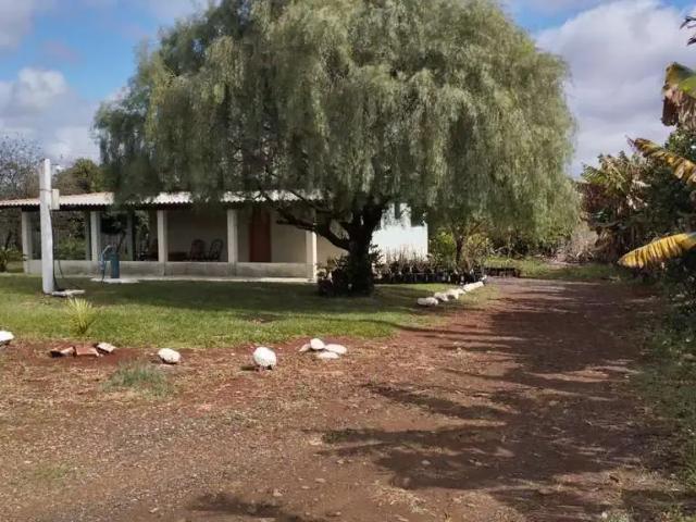 Sítio / Chácara para Venda em Marialva/PR Área Rural