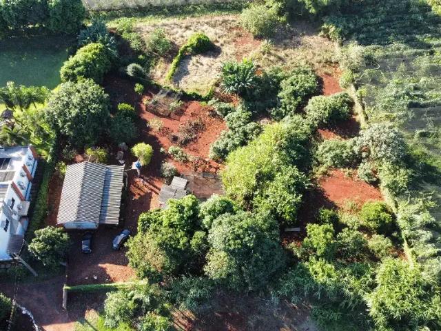 Sítio / Chácara para Venda em Marialva/PR Centro 1 Quartos