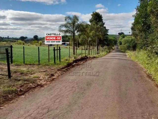 Sítio / Chácara para Venda em Marialva/PR Jardim Shenandoa 1 Quartos