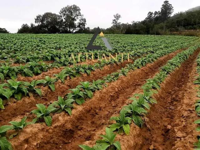 Sítio / Chácara para Venda em Mariana Pimentel/RS Centro