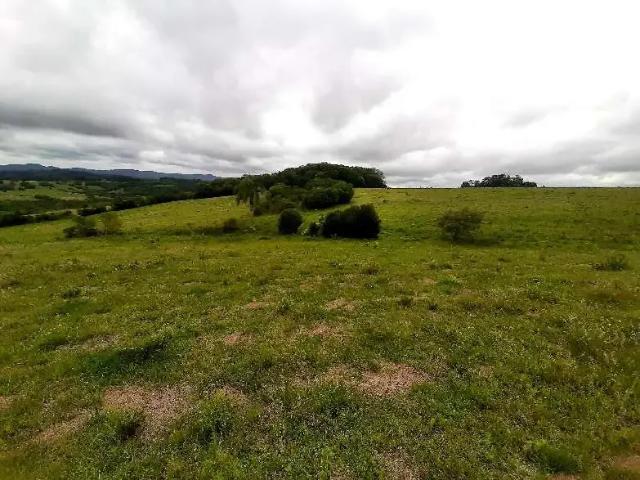 Sítio / Chácara para Venda em Mariana Pimentel/RS Zona Rural
