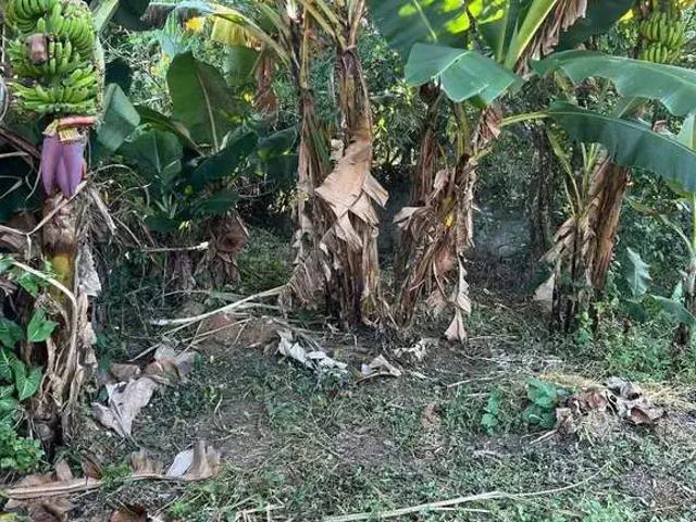 Sítio / Chácara para Venda em Mariana/MG Bandeirantes 2 Quartos