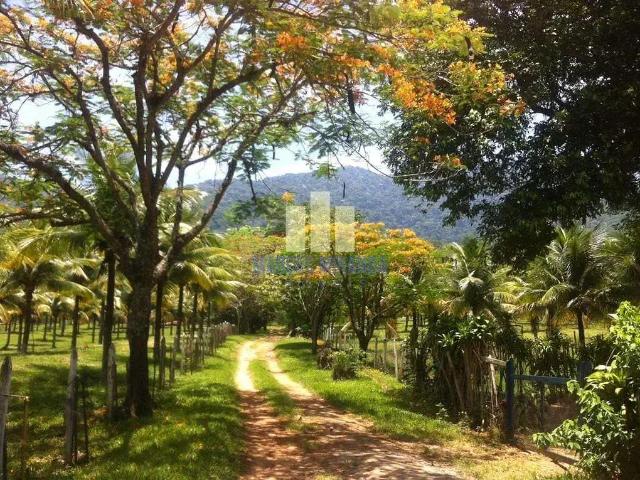 Sítio / Chácara para Venda em Maricá/RJ Jaconé Ponta Negra 6 Quartos