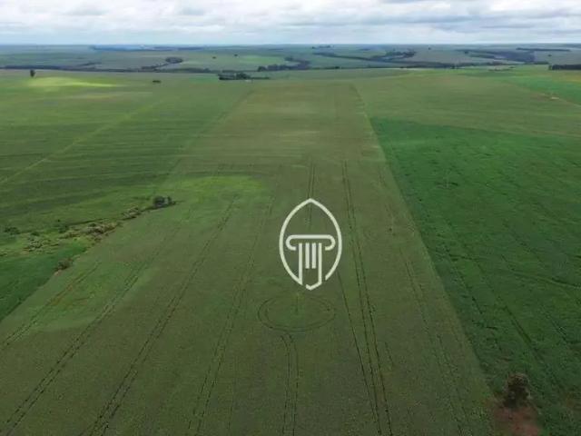 Sítio / Chácara para Venda em Mariluz/PR Zona Rural