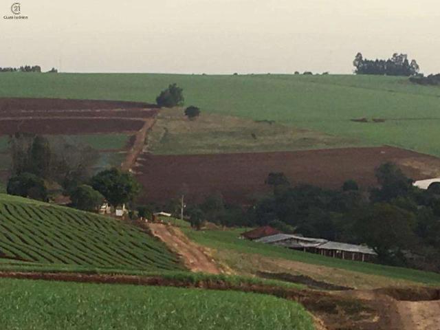Sítio / Chácara para Venda em Marilândia do Sul/PR Centro