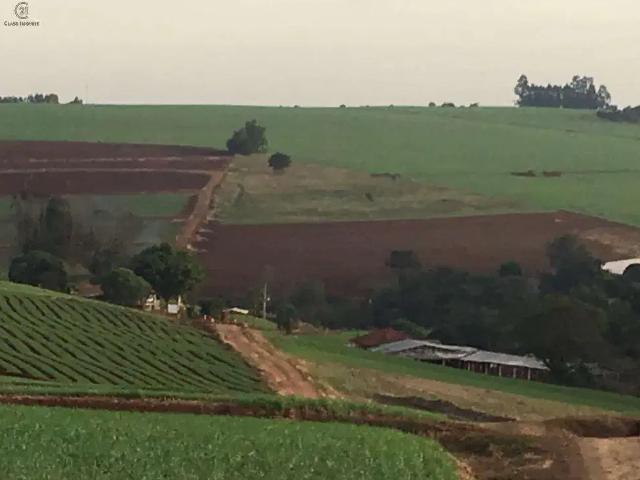 Sítio / Chácara para Venda em Marilândia do Sul/PR Centro
