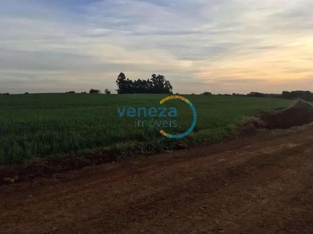 Sítio / Chácara para Venda em Marilândia do Sul/PR Nova Amoreira 1 Quartos