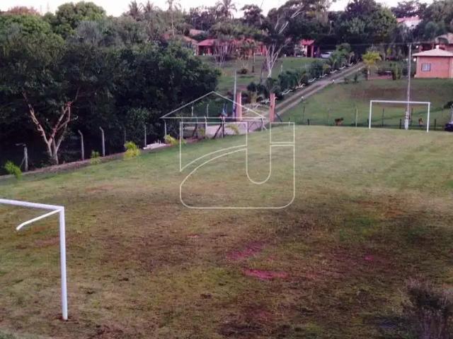 Sítio / Chácara para Venda em Marília/SP Avencas Avencas