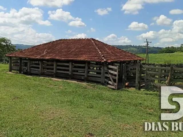 Sítio / Chácara para Venda em Marília/SP Área Rural de Marília 4 Quartos