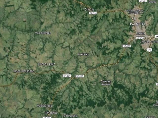Sítio / Chácara para Venda em Marília/SP Área Rural de Marília