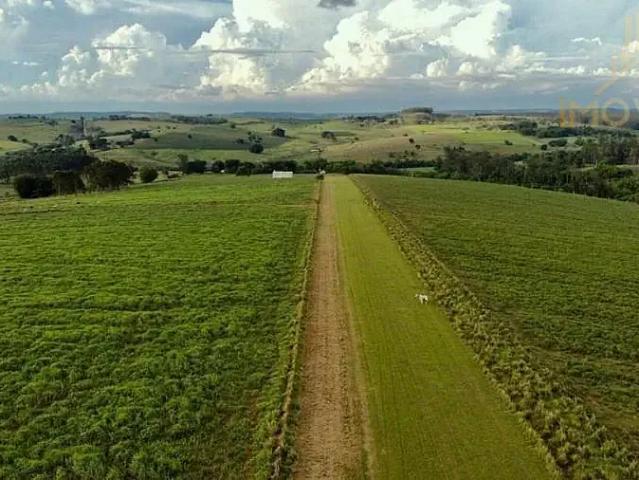 Sítio / Chácara para Venda em Marília/SP Área Rural de Marília