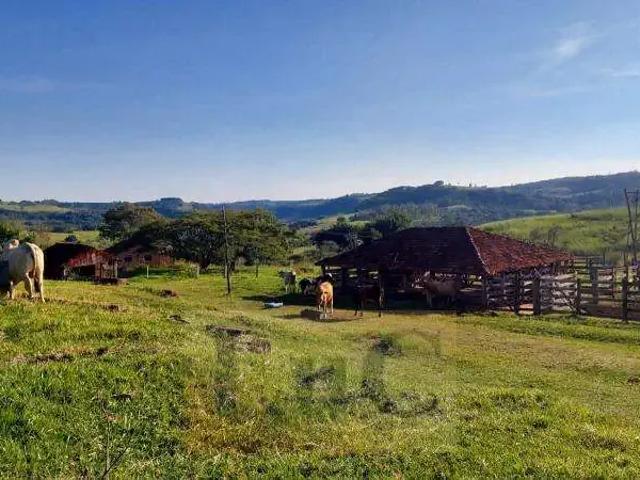 Sítio / Chácara para Venda em Marília/SP Centro
