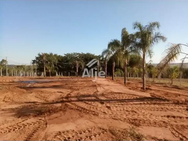 Sítio / Chácara para Venda em Marília/SP Dirceu Distrito de Marilia
