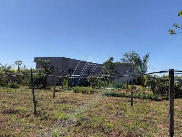 Sítio / Chácara para Venda em Marília/SP Padre Nóbrega 3 Quartos