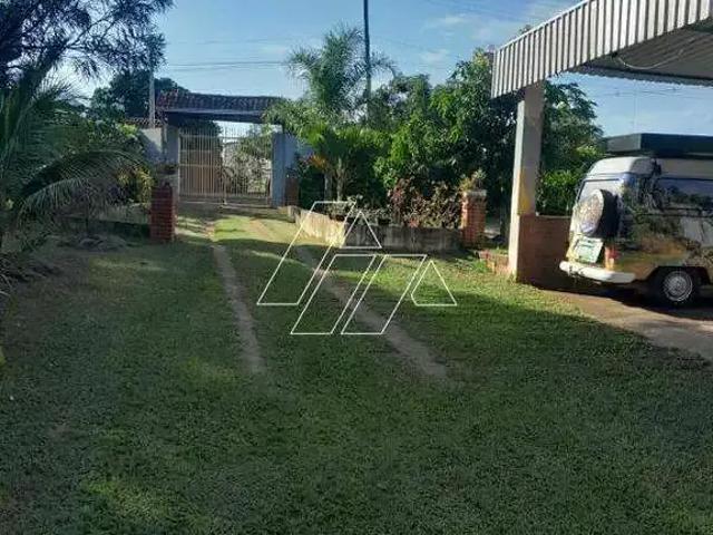 Sítio / Chácara para Venda em Marília/SP Padre Nóbrega