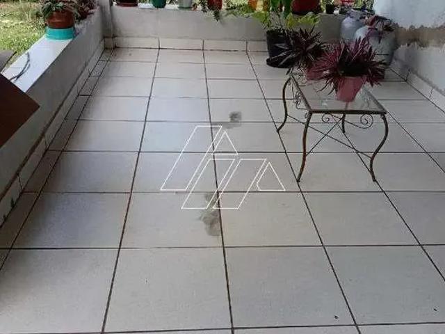 Sítio / Chácara para Venda em Marília/SP Sítios de Recreio Vila Bella III