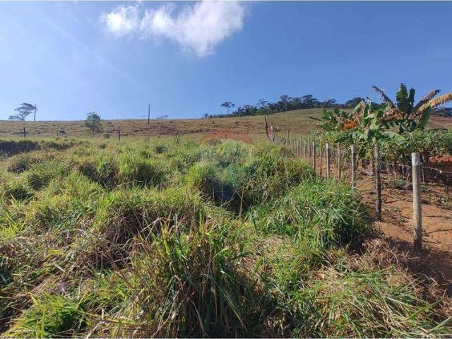 Sítio / Chácara para Venda em Maripá de Minas/MG Centro