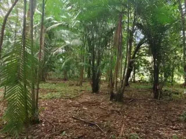 Sítio / Chácara para Venda em Marituba/PA Mirizal