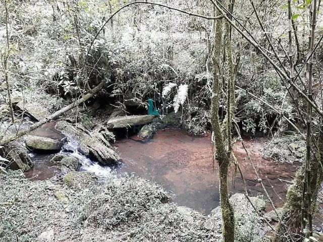 Sítio / Chácara para Venda em Marmelópolis/MG Centro