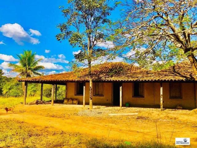 Sítio / Chácara para Venda em Martinho Campos/MG Centro