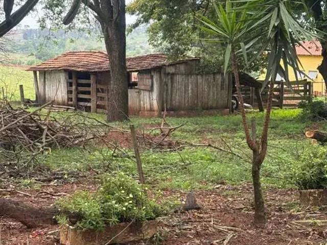 Sítio / Chácara para Venda em Martinópolis/SP Zona Rural 3 Quartos
