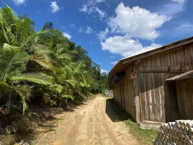 Sítio / Chácara para Venda em Massaranduba/SC Centro 1 Quartos