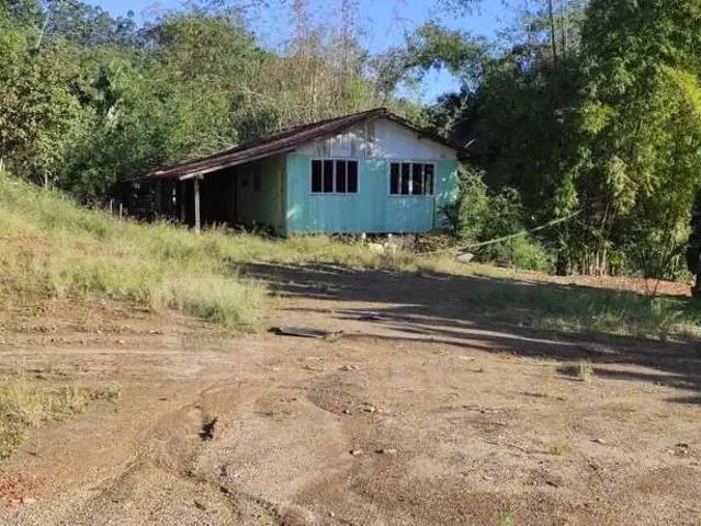 Sítio / Chácara para Venda em Massaranduba/SC Centro 4 Quartos