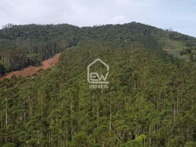 Sítio / Chácara para Venda em Massaranduba/SC Braço do Norte 1 Quartos