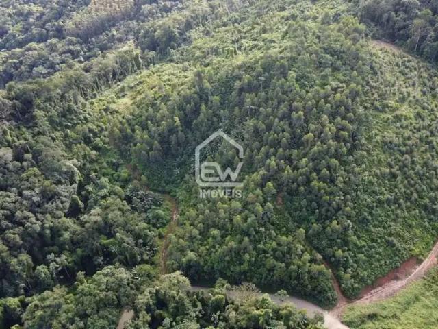 Sítio / Chácara para Venda em Massaranduba/SC Braço do Norte 1 Quartos