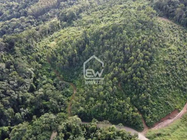 Sítio / Chácara para Venda em Massaranduba/SC Braço do Norte 1 Quartos
