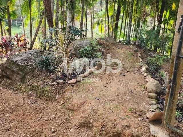 Sítio / Chácara para Venda em Massaranduba/SC Braço do Norte