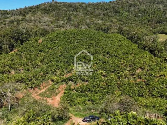 Sítio / Chácara para Venda em Massaranduba/SC Guarani Mirim 1 Quartos