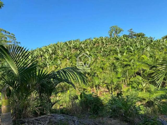 Sítio / Chácara para Venda em Massaranduba/SC Zona Rural 1 Quartos