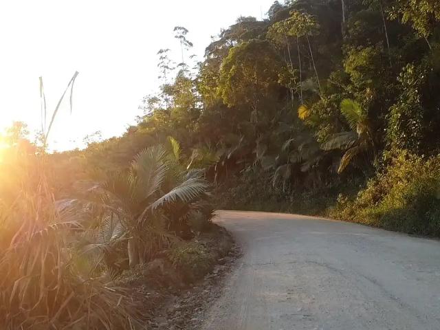 Sítio / Chácara para Venda em Massaranduba/SC Zona Rural 2 Quartos