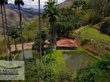 Sítio / Chácara para Venda em Miguel Pereira/RJ Barão de Javary