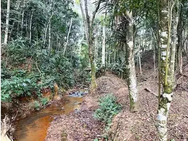 Sítio / Chácara para Venda em Miguel Pereira/RJ Governador Portela 4 Quartos