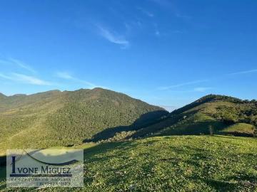 Sítio / Chácara para Venda em Miguel Pereira/RJ Lagoa das Lontras