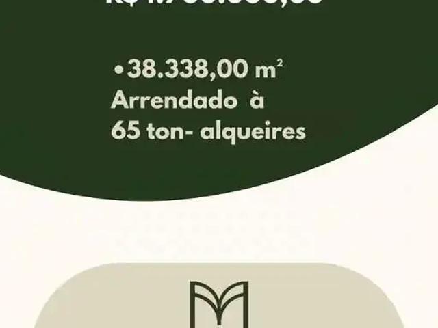 Sítio / Chácara para Venda em Miguelópolis/SP Centro