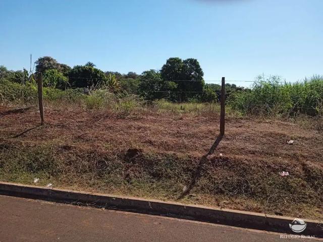 Sítio / Chácara para Venda em Miguelópolis/SP Centro