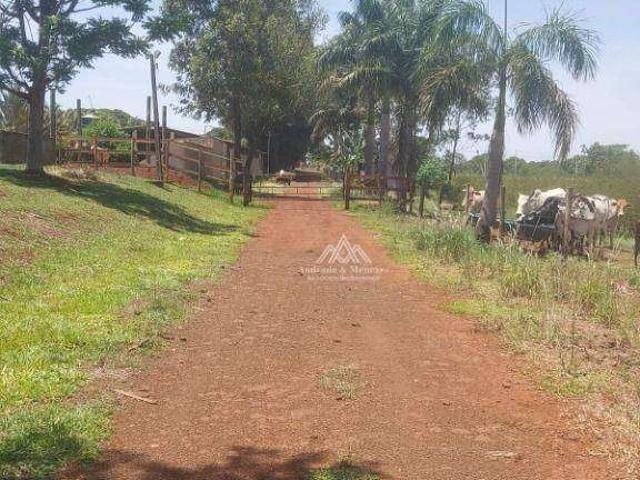 Sítio / Chácara para Venda em Miguelópolis/SP Zona Rural 4 Quartos