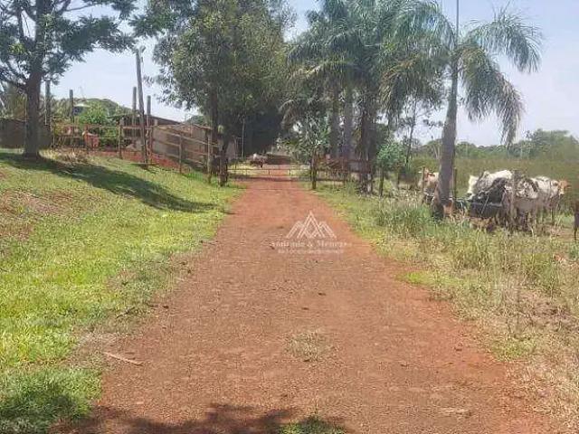 Sítio / Chácara para Venda em Miguelópolis/SP Área Rural de Miguelópolis 4 Quartos