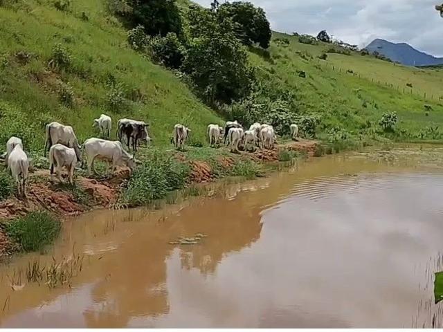 Sítio / Chácara para Venda em Mimoso do Sul/ES Centro