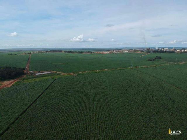 Sítio / Chácara para Venda em Mineiros/GO Área Rural de Mineiros