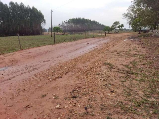 Sítio / Chácara para Venda em Mineiros/GO Área Rural de Mineiros