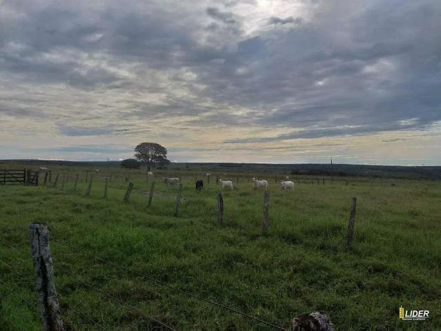 Sítio / Chácara para Venda em Mineiros/GO Área Rural de Mineiros