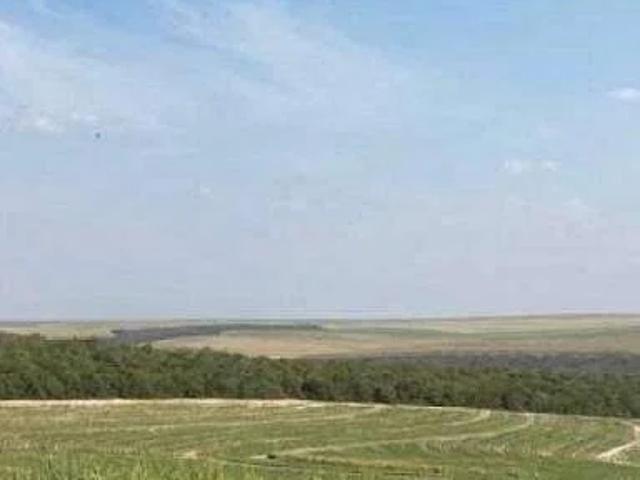 Sítio / Chácara para Venda em Mineiros/GO Área Rural de Mineiros