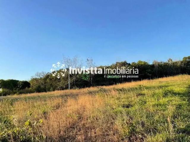 Sítio / Chácara para Venda em Miranorte/TO Setor Central